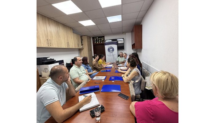 Organizacija slijepih